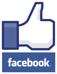 SEOLIX Facebook Likes Facebook